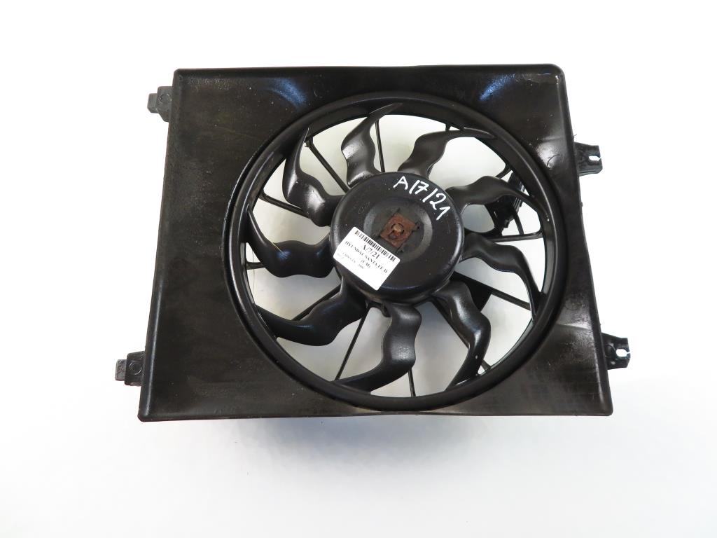 HYUNDAI Santa Fe CM (2006-2013) Engine Control Unit Fan 17831638