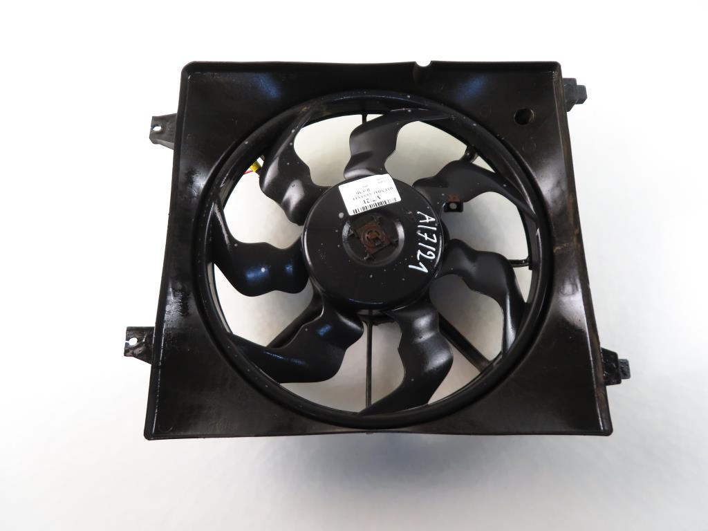 HYUNDAI Santa Fe CM (2006-2013) Engine Control Unit Fan 17831731