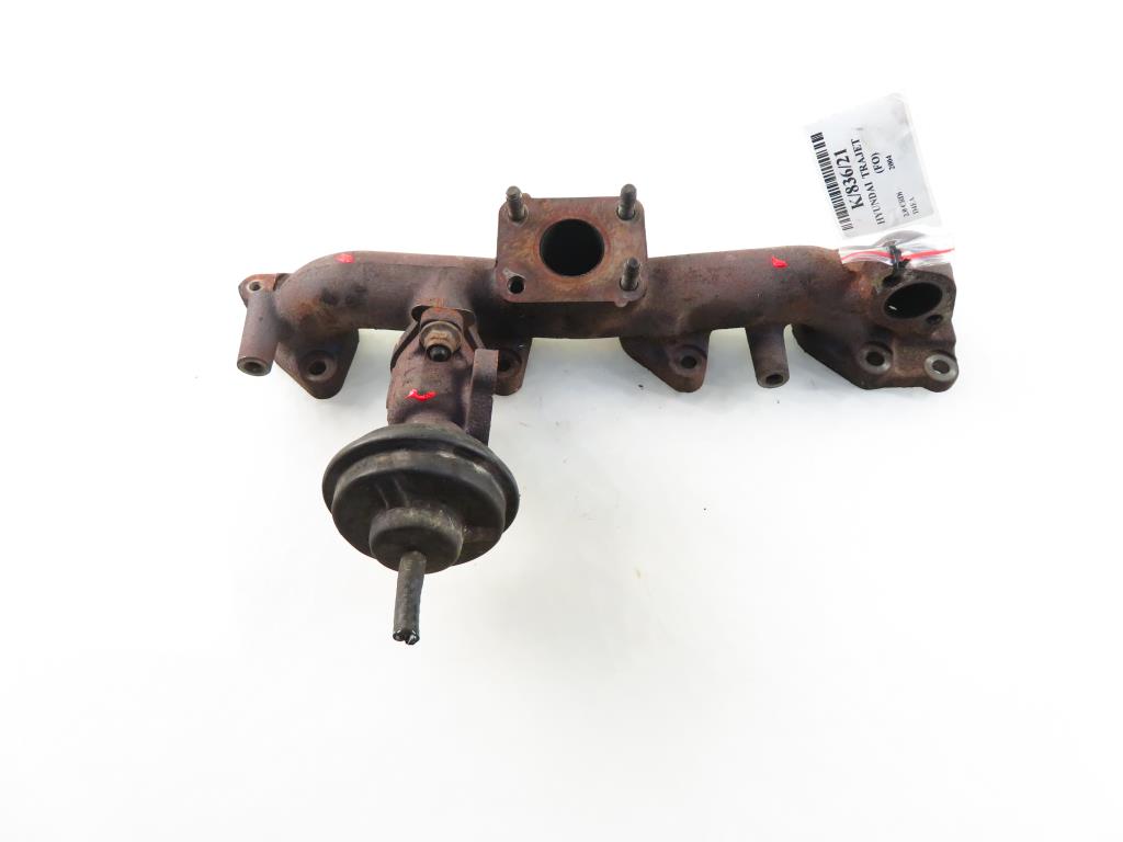 HYUNDAI Trajet 1 generation (2000-2007) Eksosmanifold 17938579