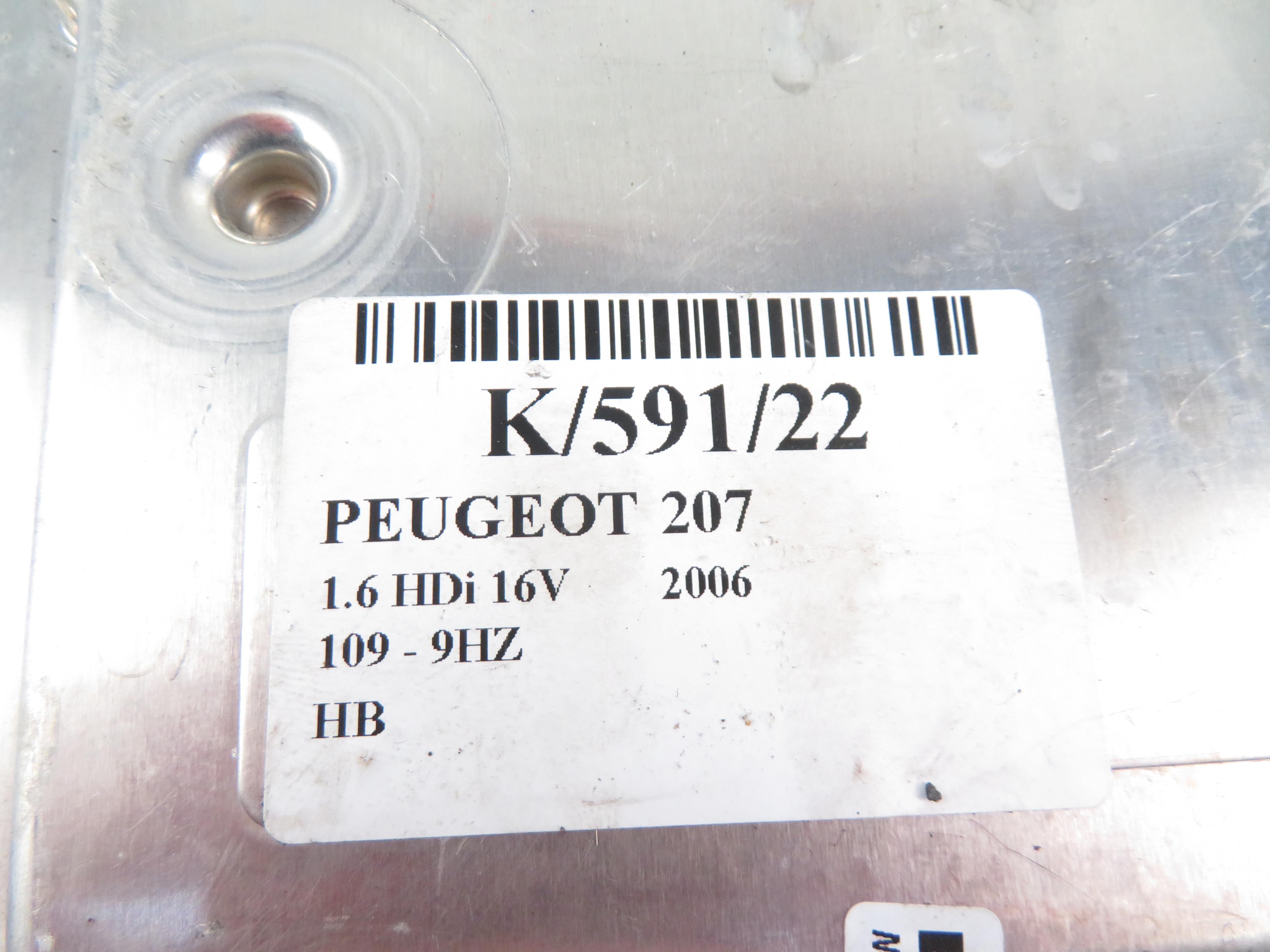 PEUGEOT 207 1 generation (2006-2009) Control Unit 0281012465,9661004480 17795378