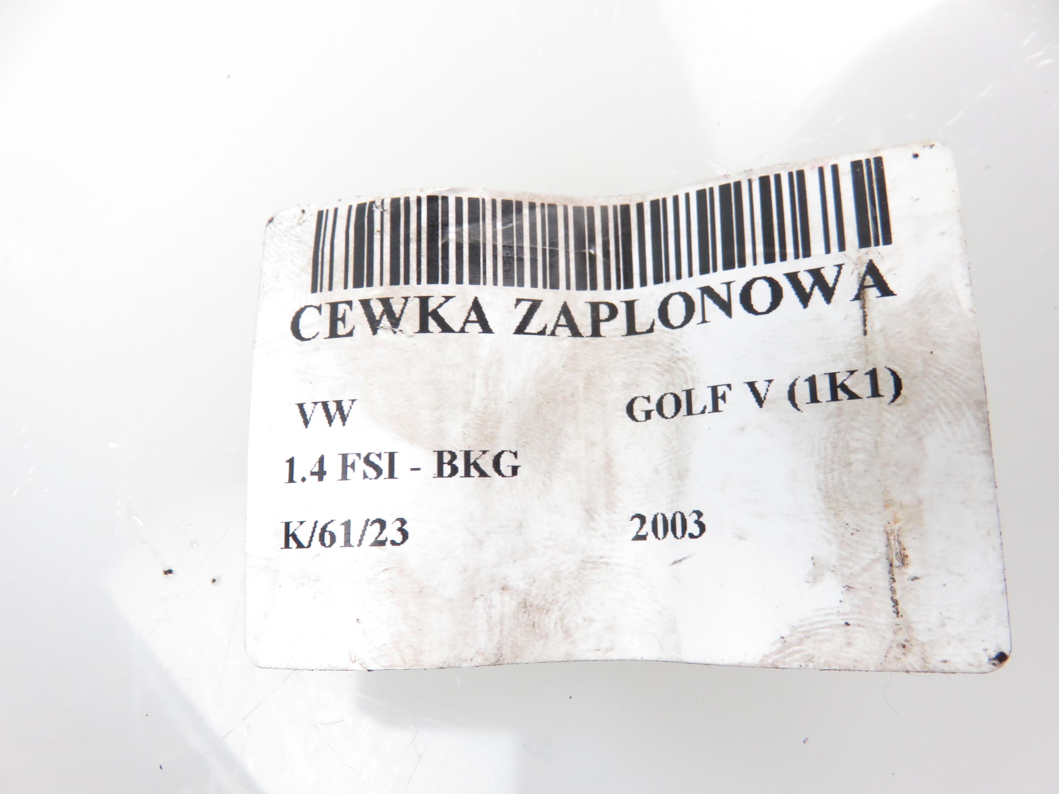 VOLKSWAGEN Golf 5 generation (2003-2009) Бабина 036905715F 21931171
