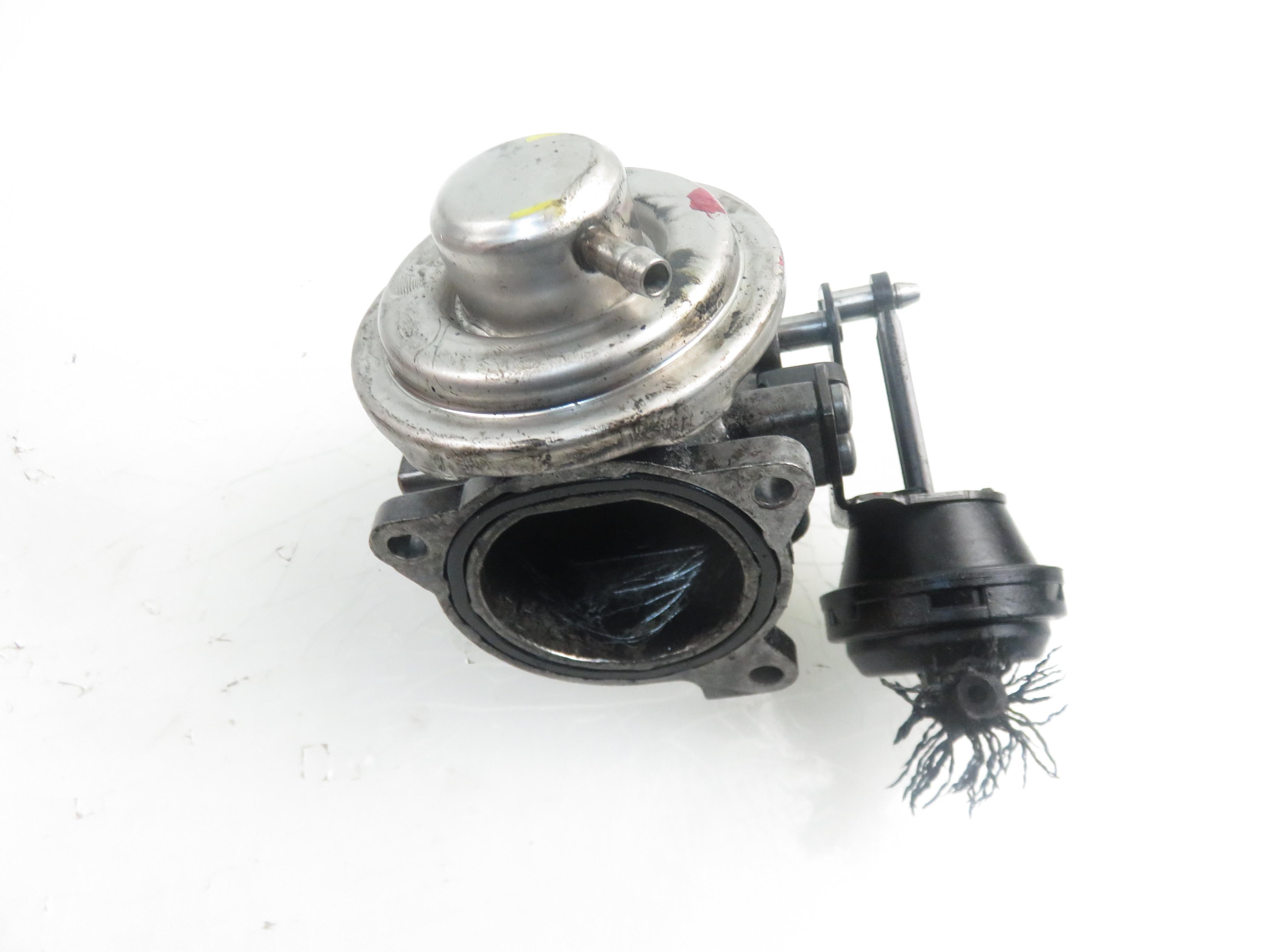 AUDI A3 8L (1996-2003) EGR Valve 038131501E 21837273