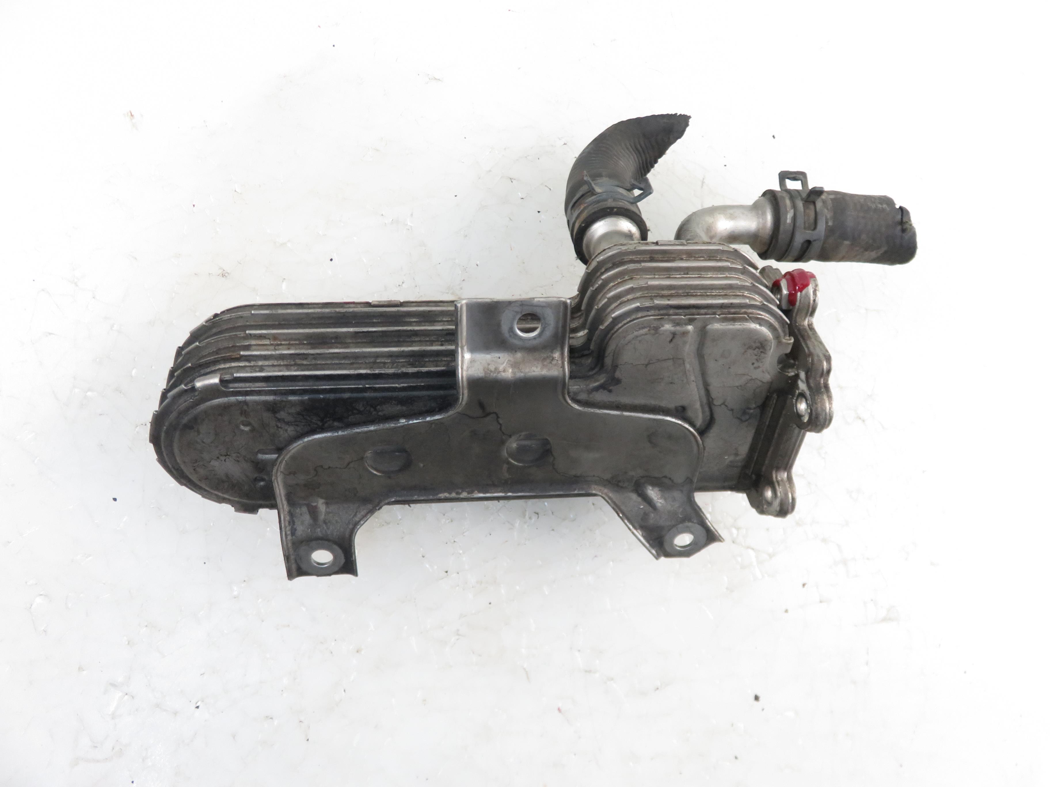 VOLKSWAGEN Golf 4 generation (1997-2006) EGR aušintuvas 038131513AD 22151733