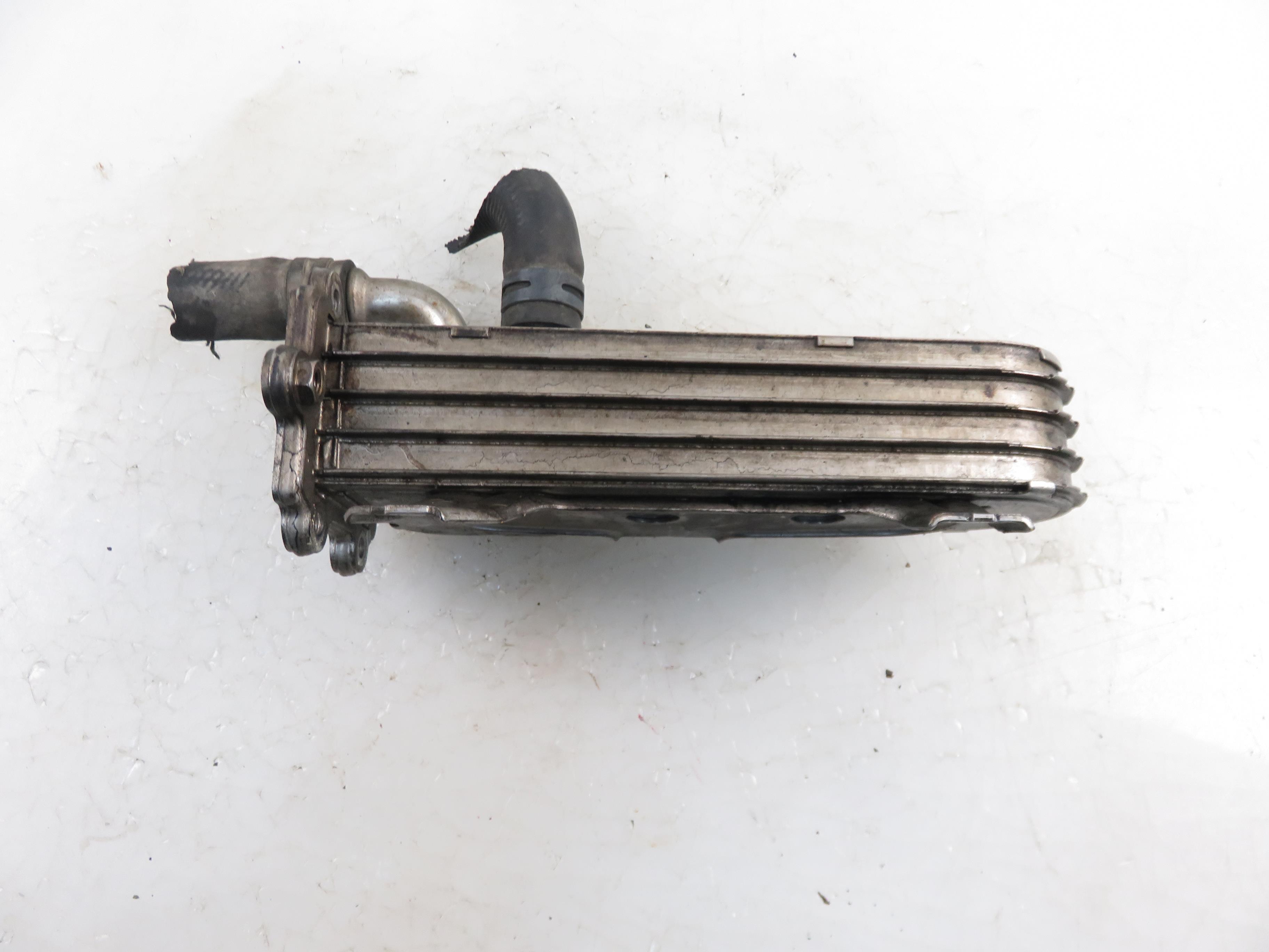 VOLKSWAGEN Golf 4 generation (1997-2006) EGR aušintuvas 038131513AD 22151733