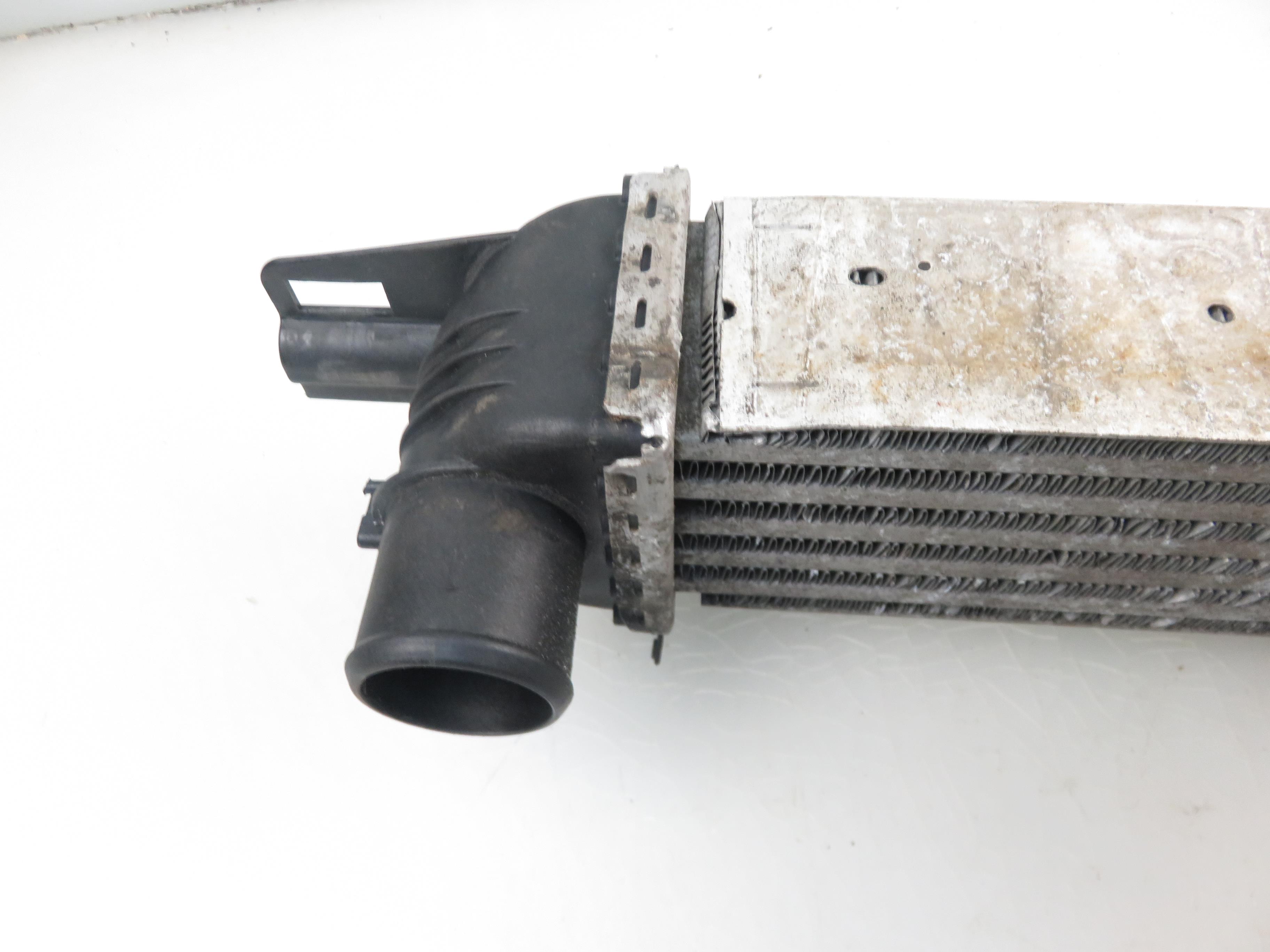 PEUGEOT Bipper 1 generation (2008-2020) Intercooler Kylare 51790623 22363079