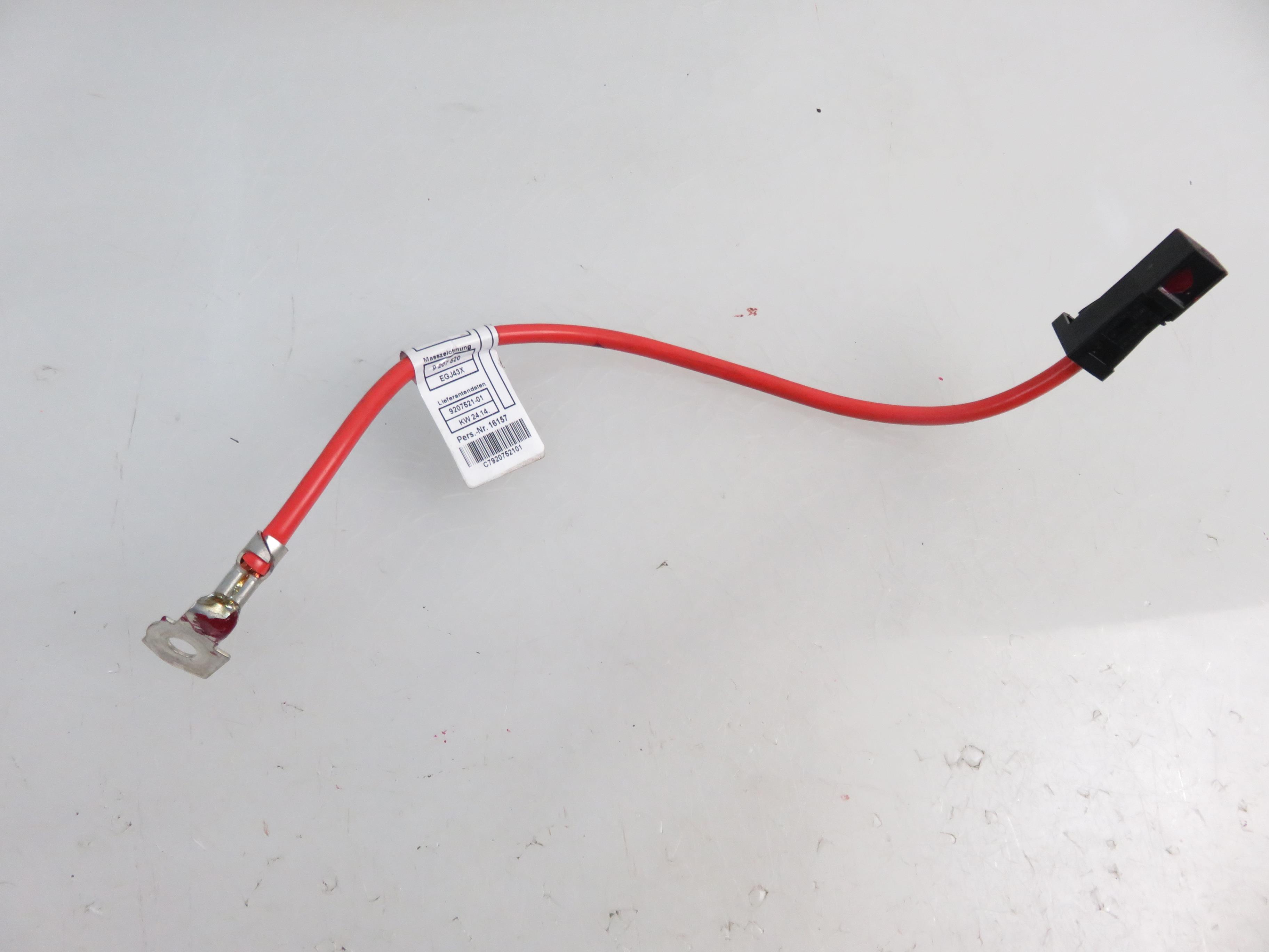 BMW X1 E84 (2009-2015) Battery Cable Ends 9207521 21890202