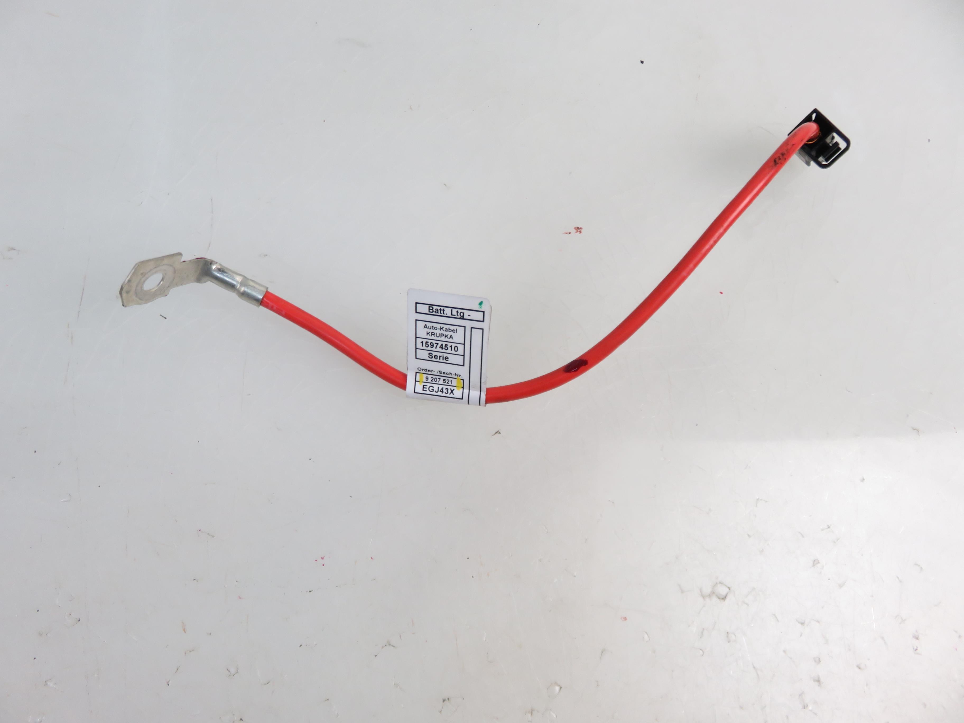 BMW X1 E84 (2009-2015) Battery Cable Ends 9207521 21890202