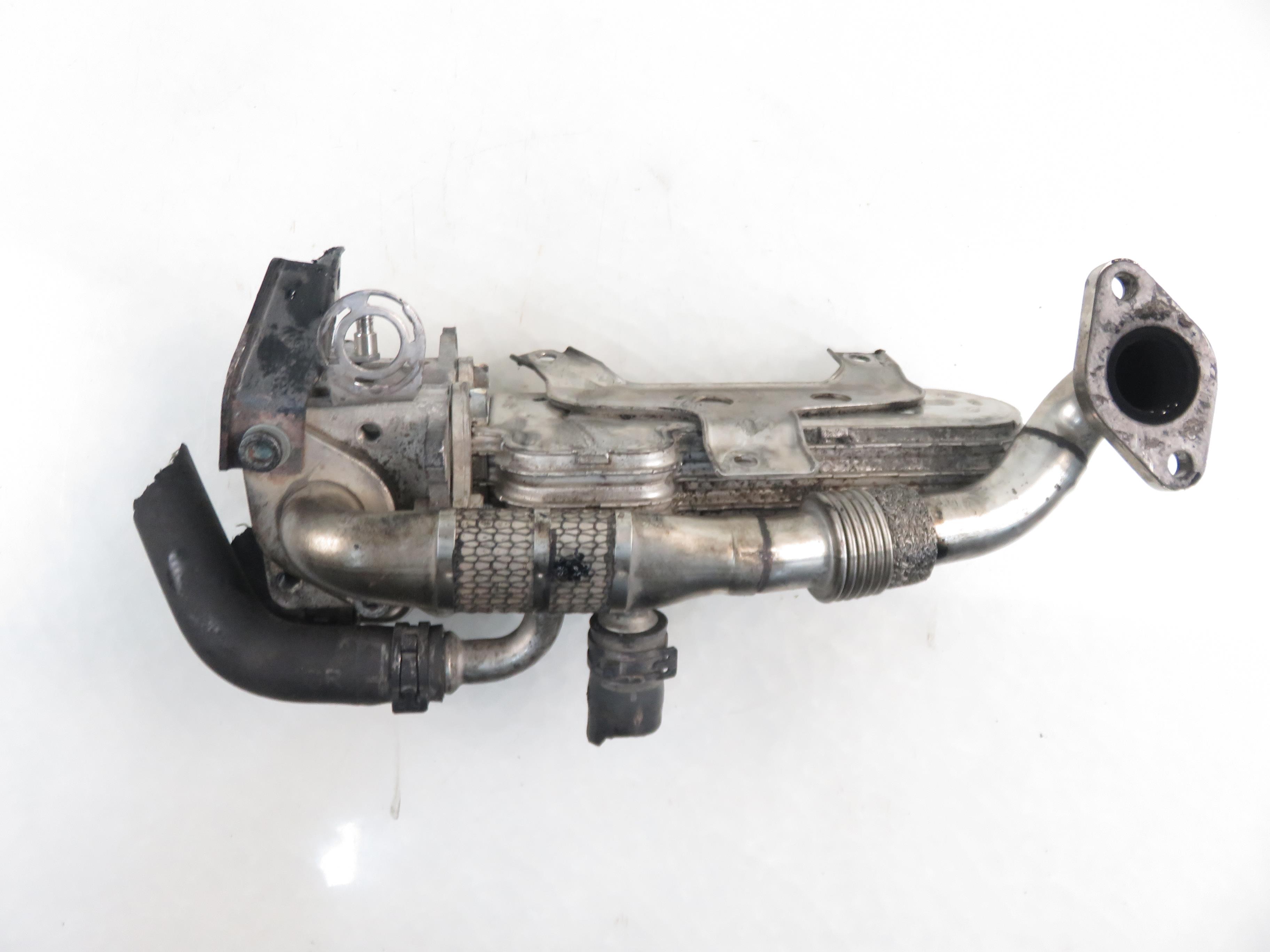 AUDI A3 8P (2003-2013) EGR Cooler 038131513AD 22981975