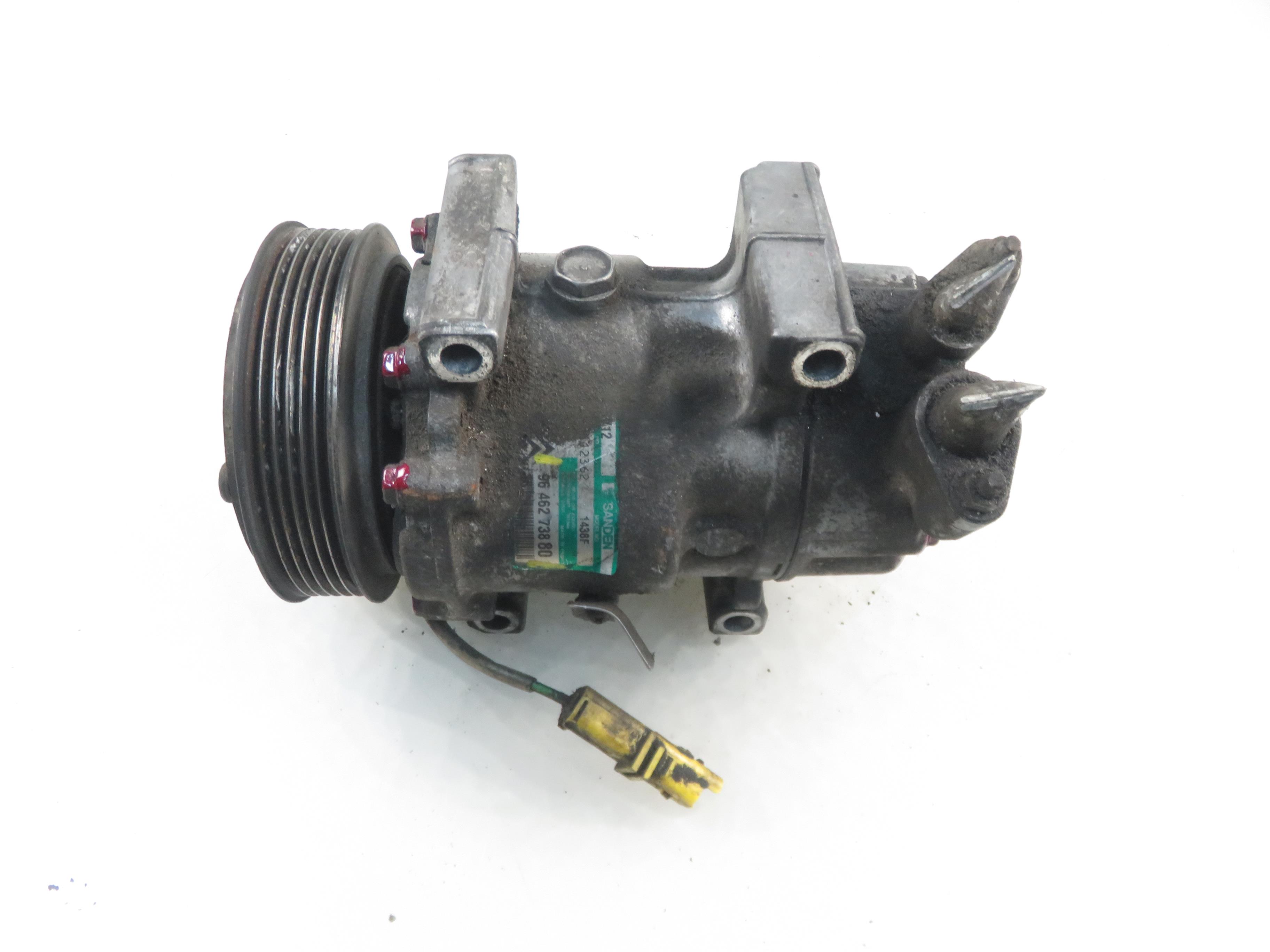 PEUGEOT 206 1 generation (1998-2009) Air Condition Pump 9646273880 23122224