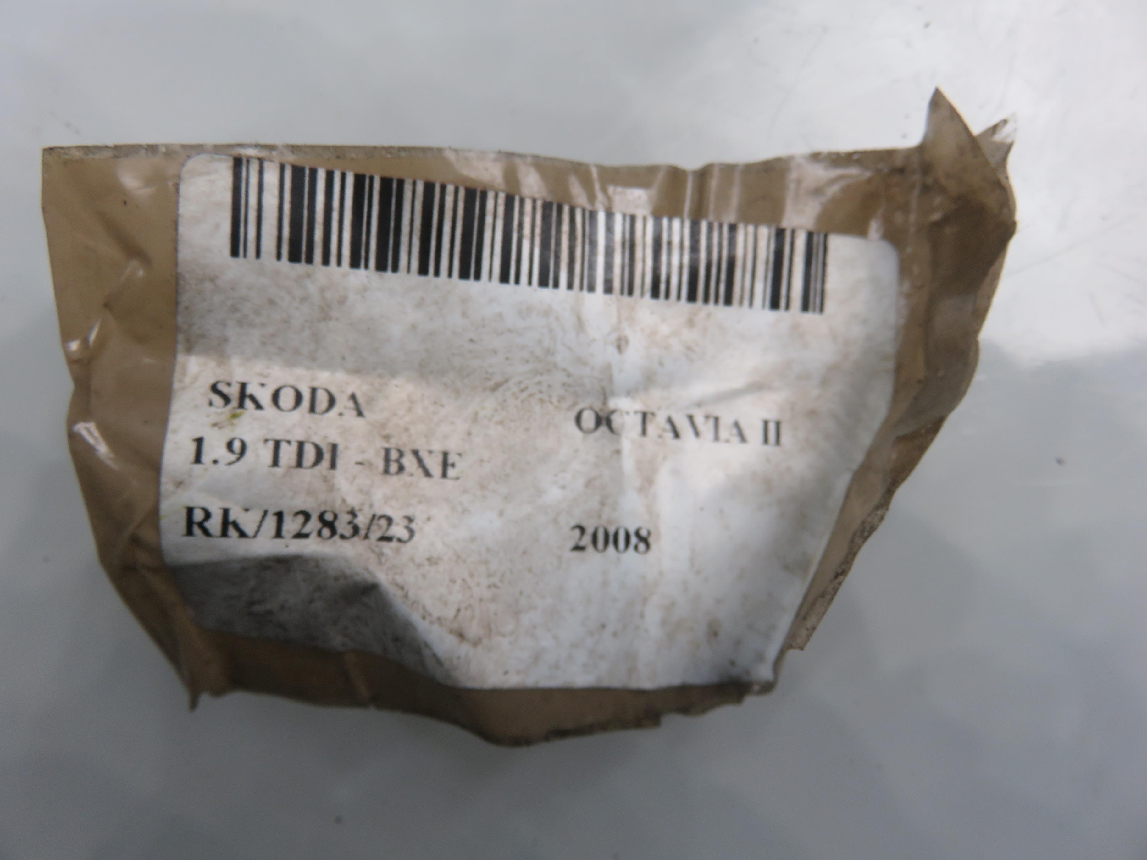 SKODA Octavia 2 generation (2004-2013) Топливный насос 1K0919050J, A2C53166111 23403753