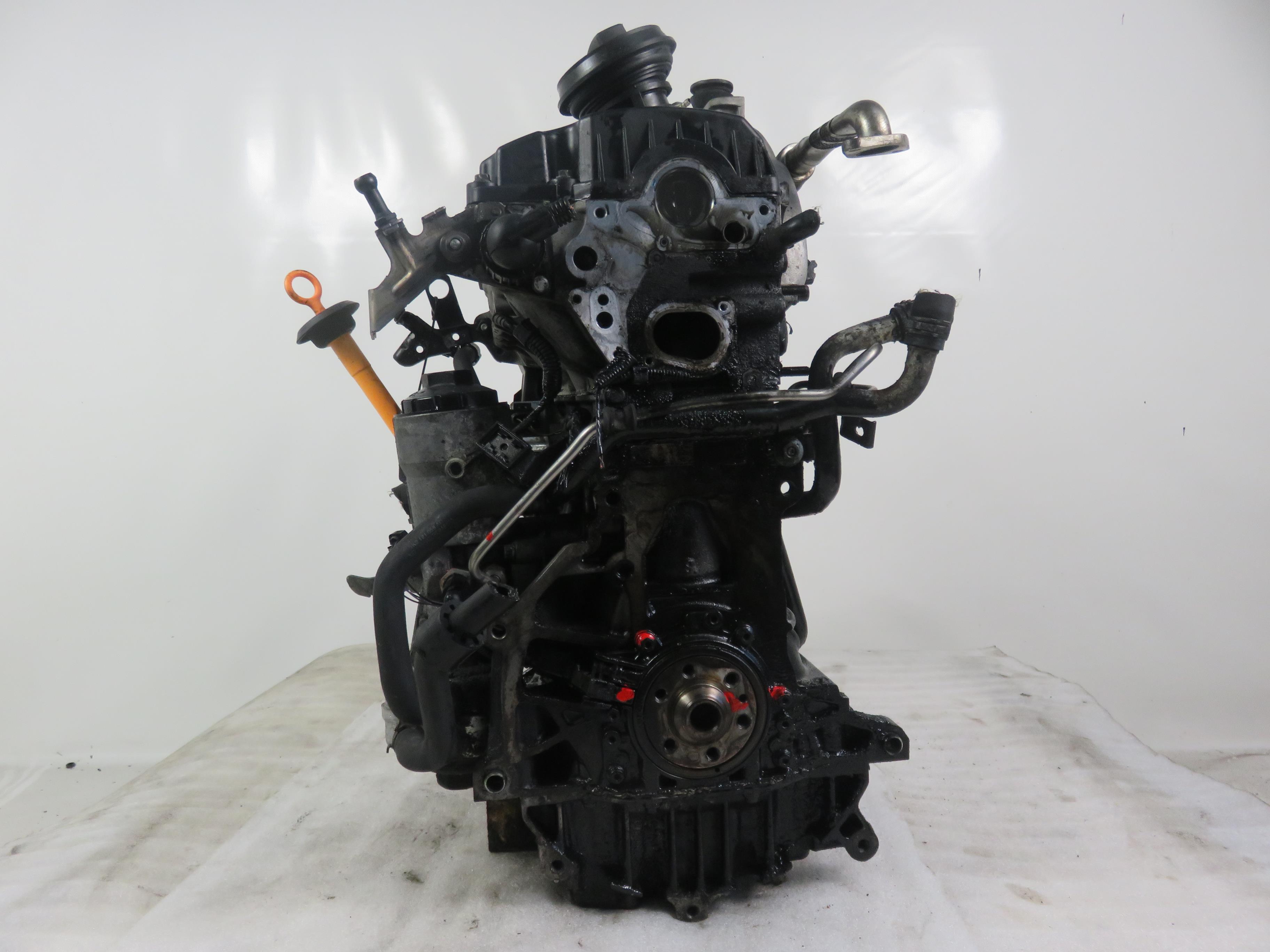 VOLKSWAGEN Touran 1 generation (2003-2015) Motor BKC 25748114