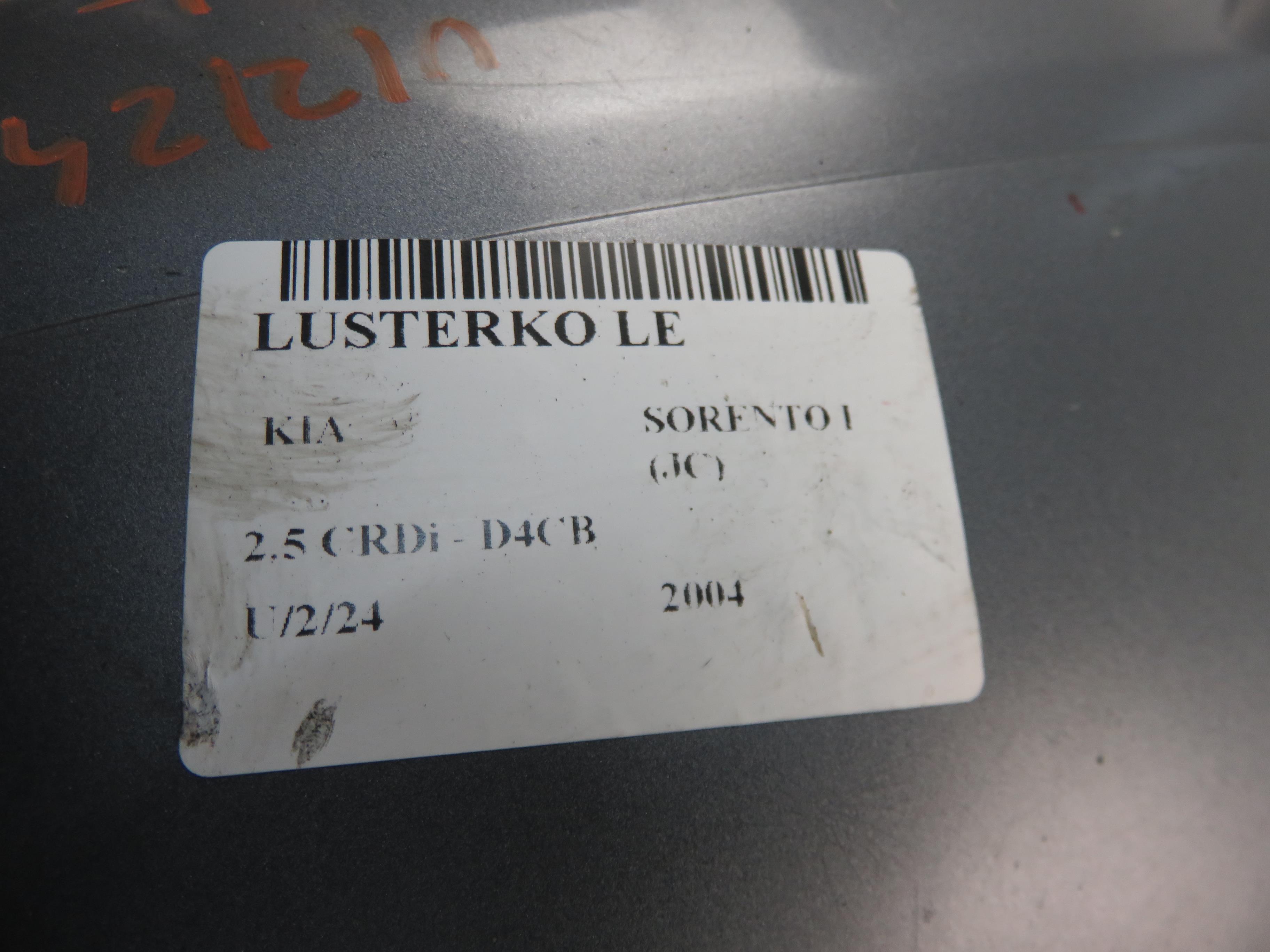 KIA Sorento 1 generation (2002-2011) Oglindă ușă stânga față 24694281