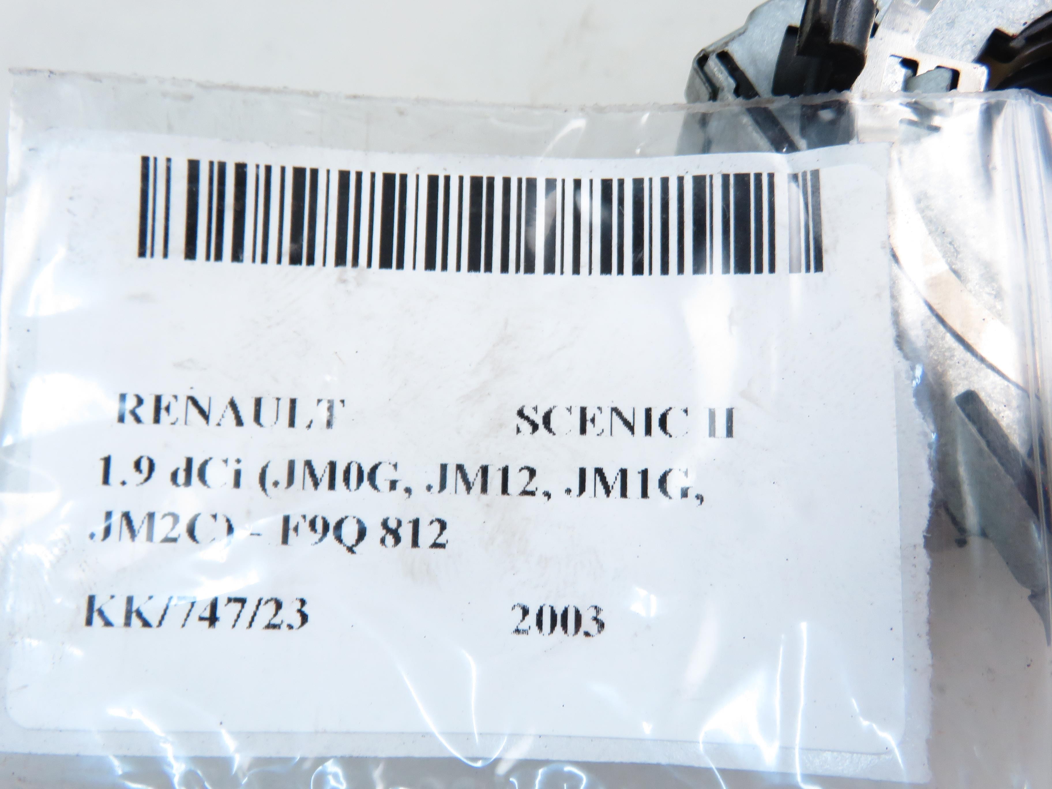 RENAULT Scenic 2 generation (2003-2010) Xenon Bulb 5DD00831950 24349059
