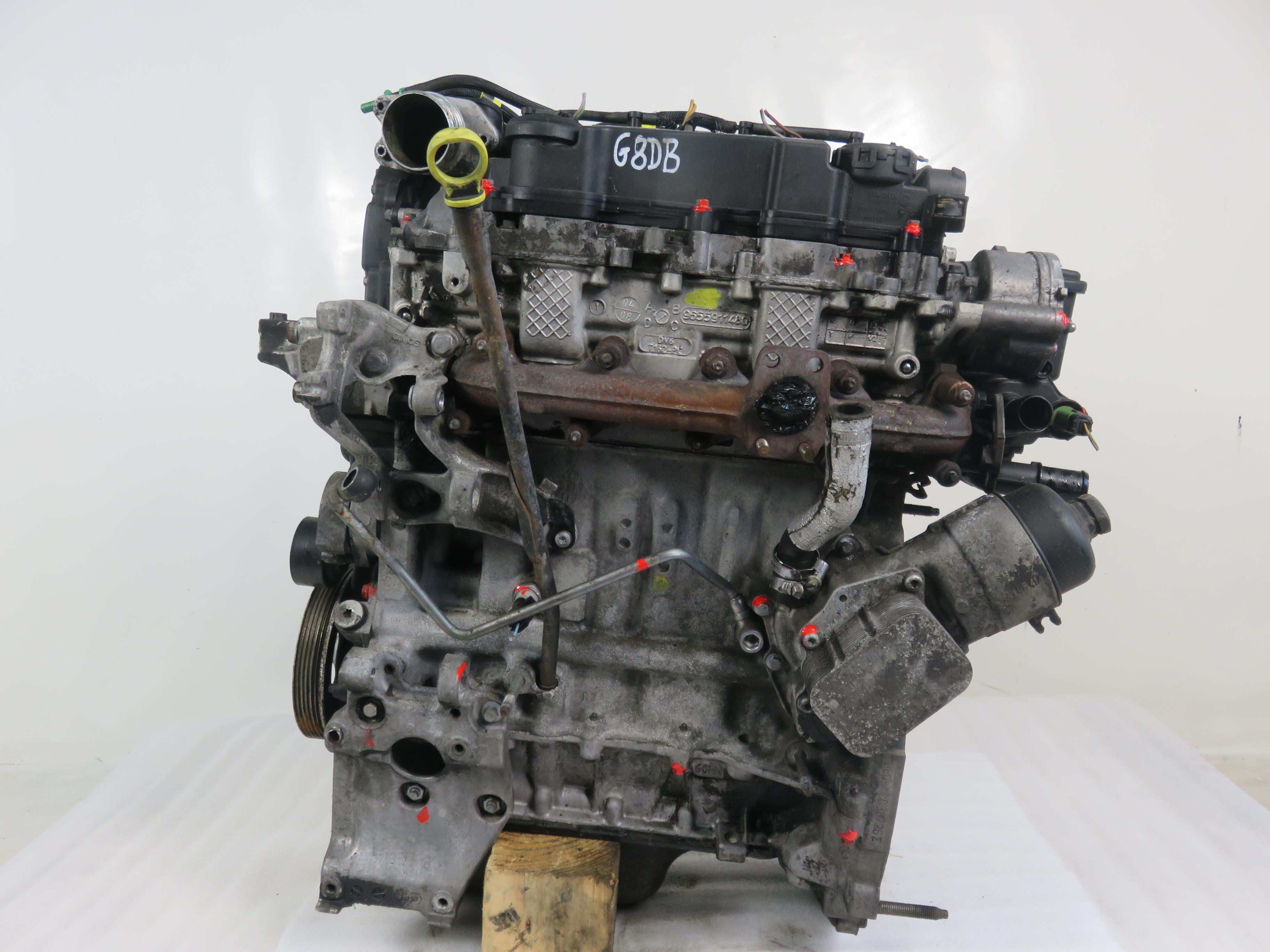 FORD Focus 2 generation (2004-2011) Engine G8DB 25852170