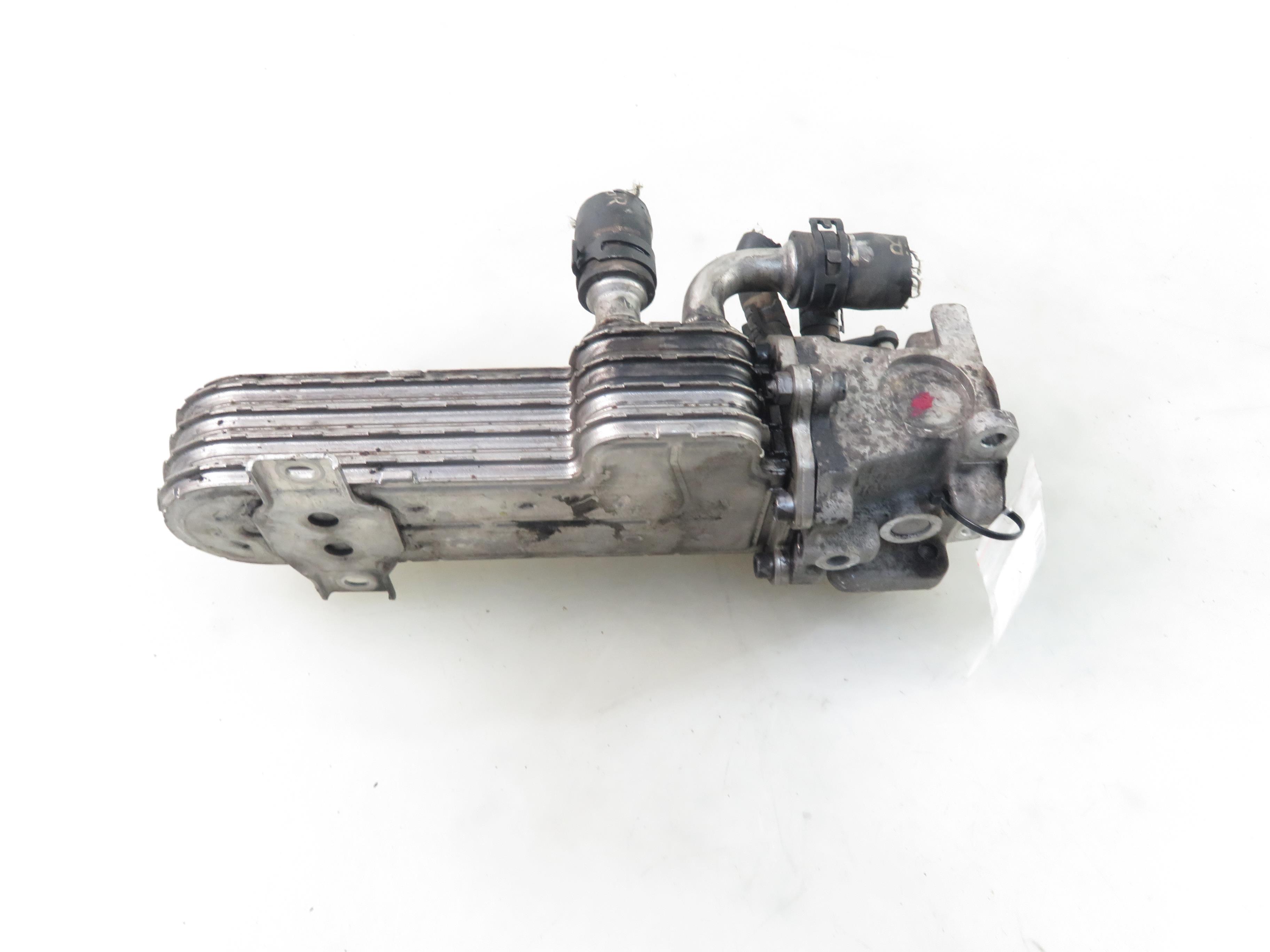 VOLKSWAGEN Touran 1 generation (2003-2015) EGR Valve 03G131063F, 03G131513J 25824328